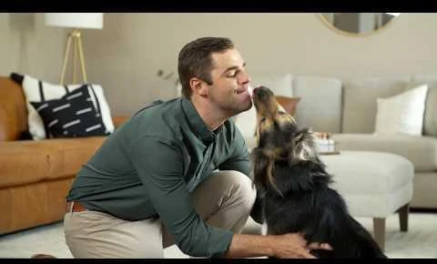 PetSafe Smart Feed Automatic Pet Feeder išmani automatinė šunų ir kačių šėrykla