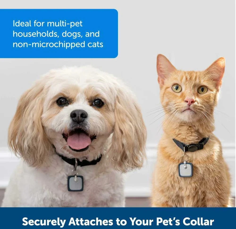 „PetSafe SmartDoor“ prijungiamas raktas – mikroschemų prieigos įrenginys, didelis dydis, saugus įėjimas