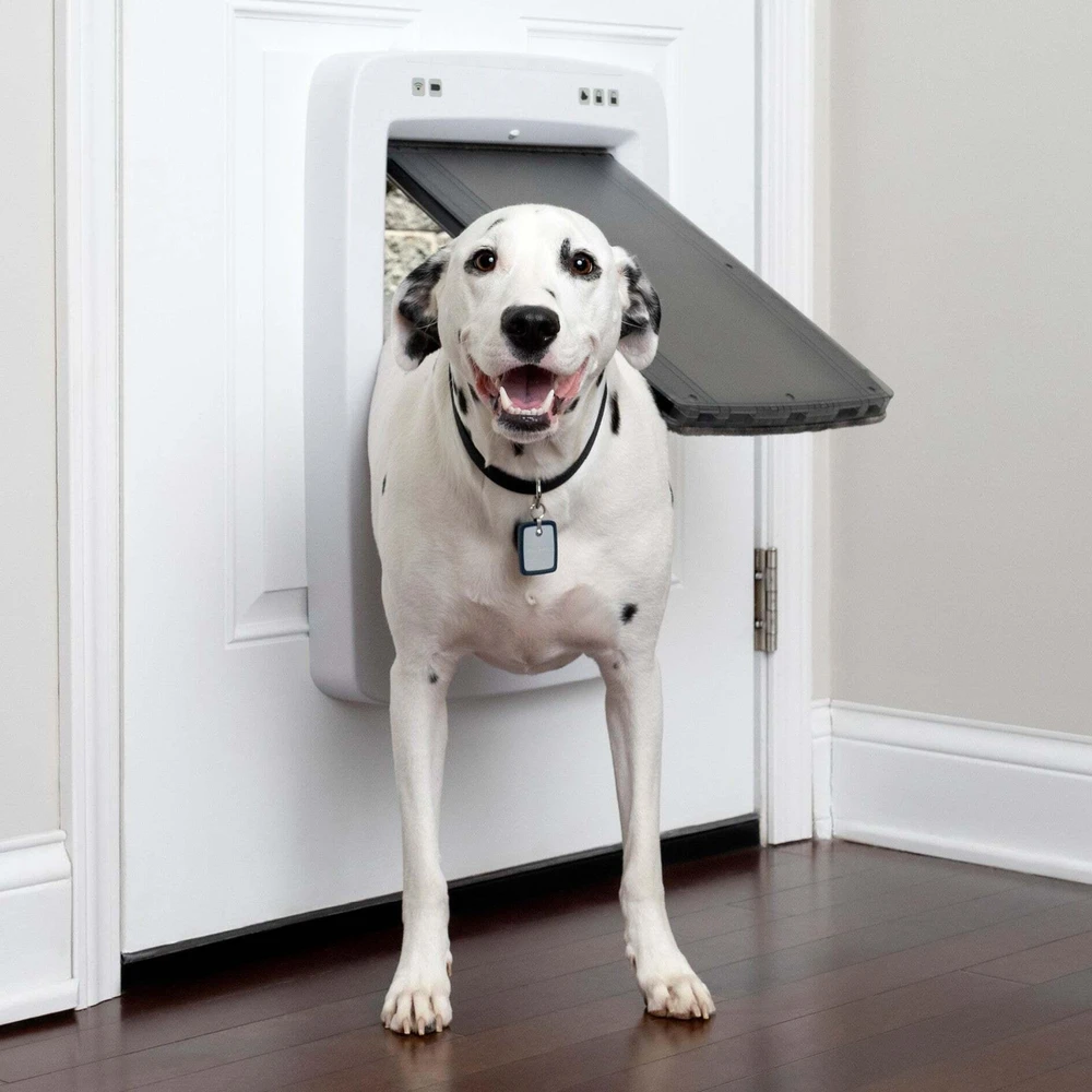 „PetSafe SmartDoor“ prijungiamas raktas – mikroschemų prieigos įrenginys, didelis dydis, saugus įėjimas