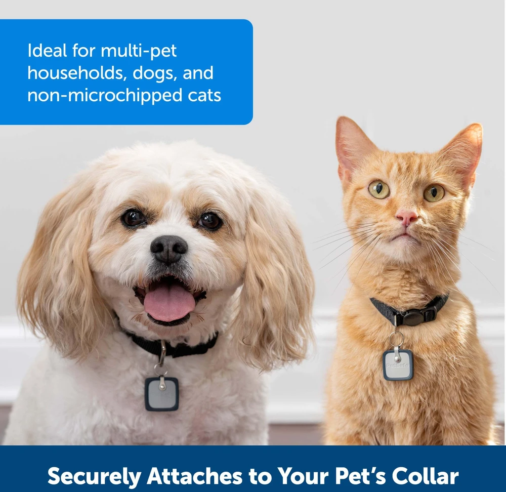 „PetSafe SmartDoor“ prijungiamas raktas – mikroschemų prieigos įrenginys, didelis dydis, saugus įėjimas