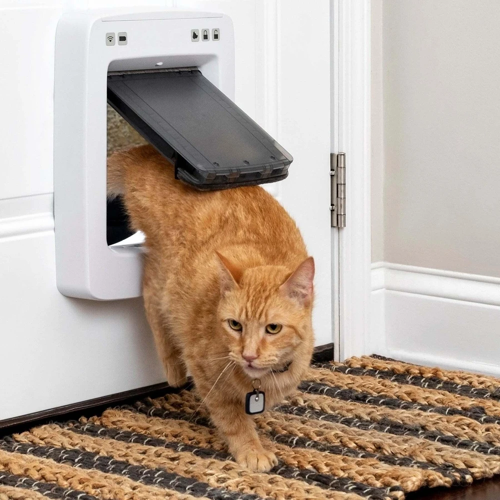 „PetSafe SmartDoor“ prijungiamas raktas – mikroschemų prieigos įrenginys, didelis dydis, saugus įėjimas