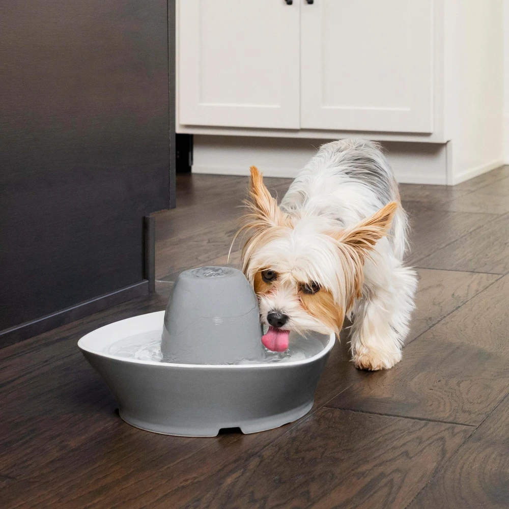 PetSafe Streamside Keraminis Katės fontanėlis 1.8L – Tylus, patvarus vandens dalytuvas su lengvai valomu dizainu