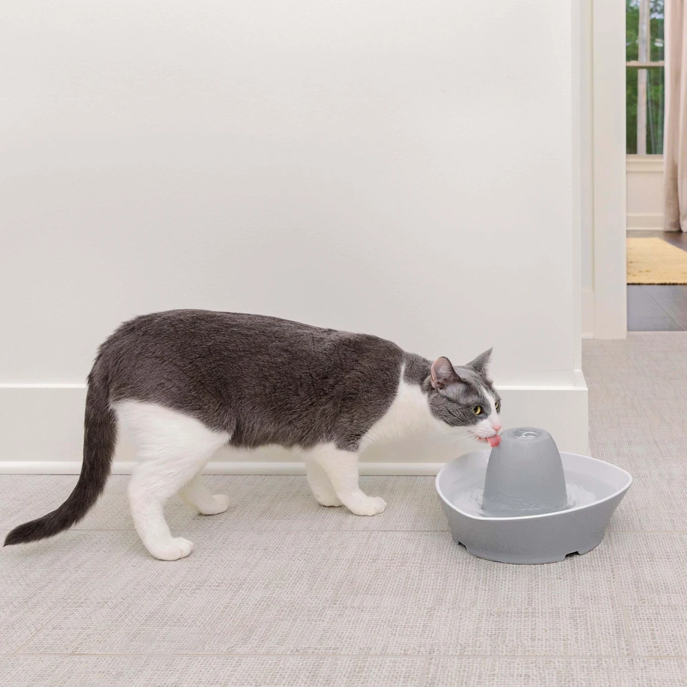 PetSafe Streamside Keraminis Katės fontanėlis 1.8L – Tylus, patvarus vandens dalytuvas su lengvai valomu dizainu