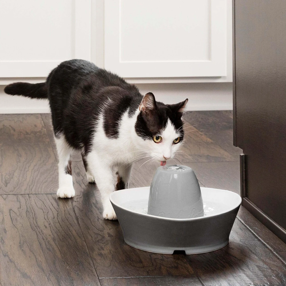 PetSafe Streamside Keraminis Katės fontanėlis 1.8L – Tylus, patvarus vandens dalytuvas su lengvai valomu dizainu