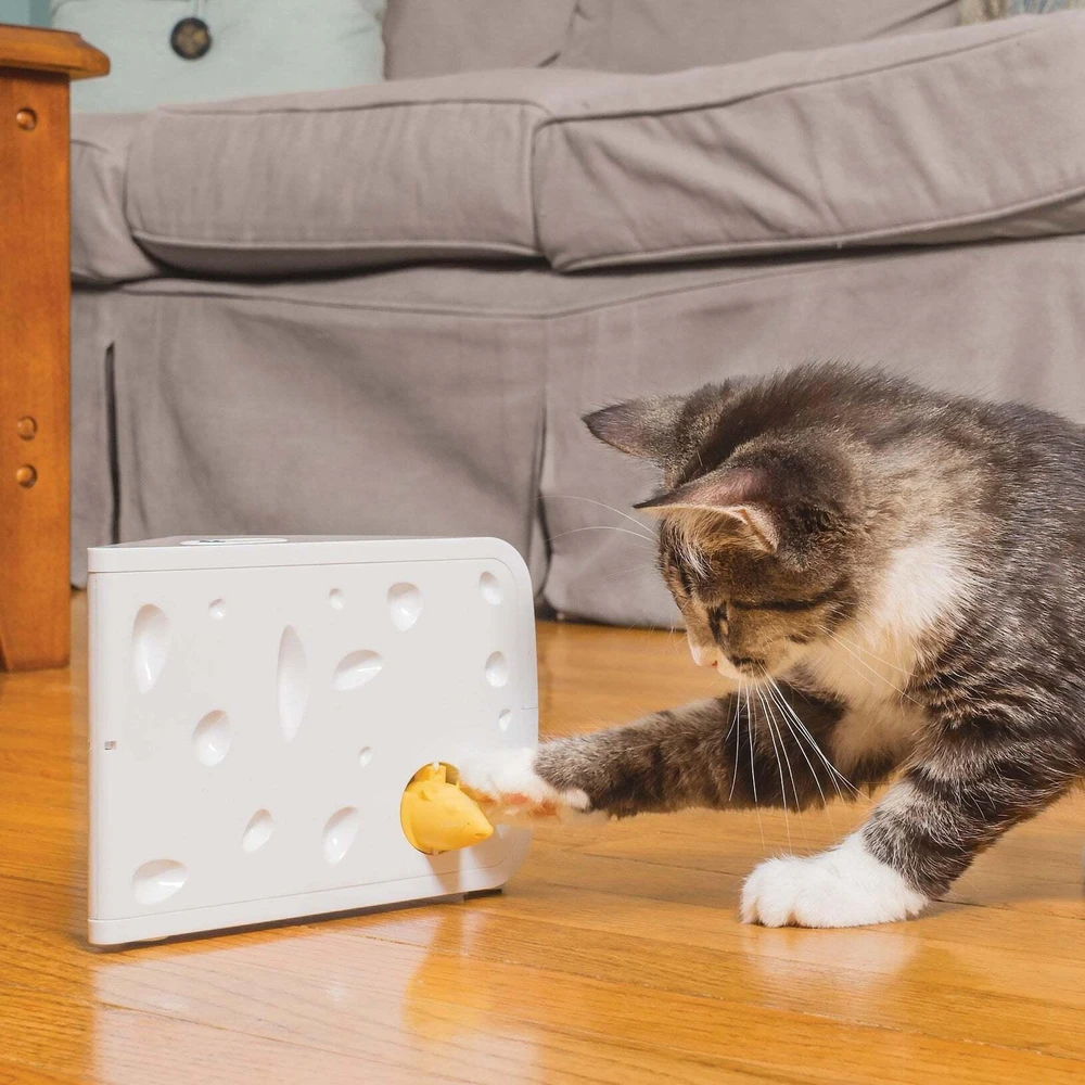 Petsafe FroliCat CHEESE Automatic Cat Teaser žaislas katėms su pelyte