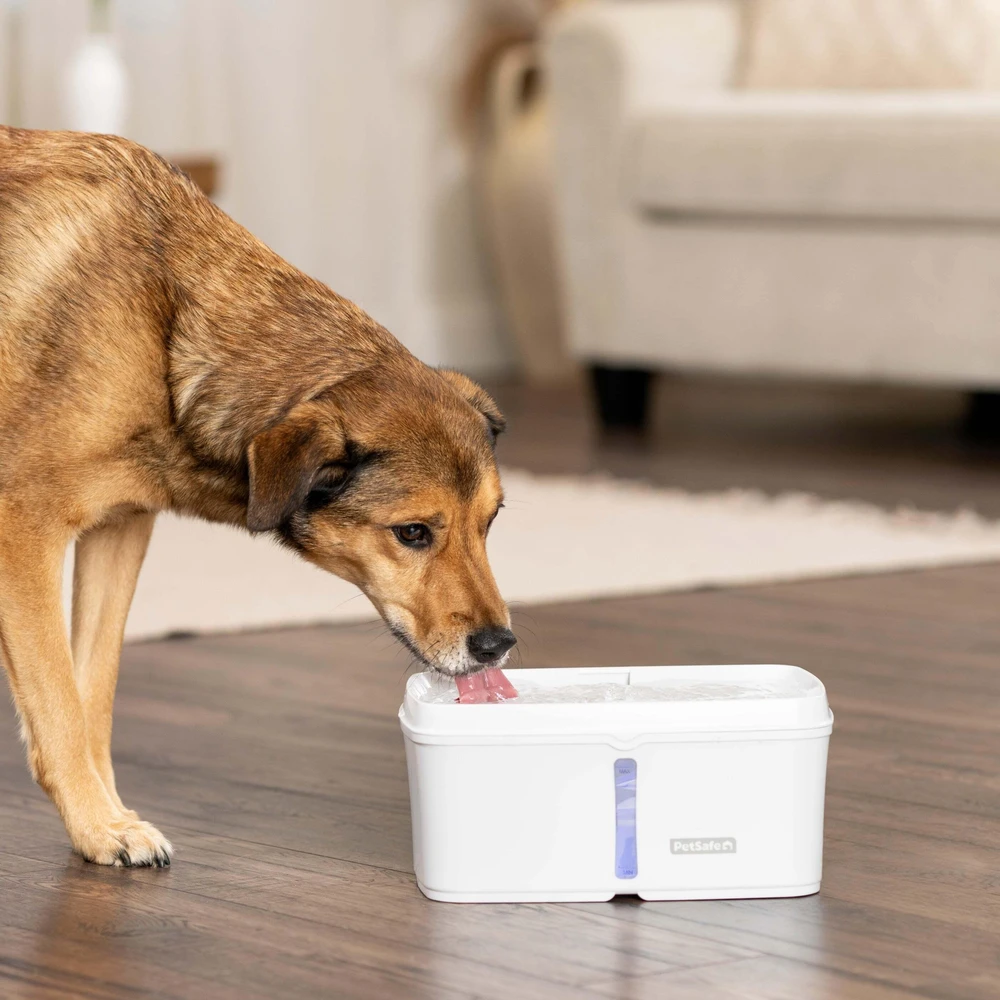 PetSafe Viva naminių gyvūnėlių fontanėlis – didelės talpos, apšviestas vandens lygio indikatorius, modernus dizainas