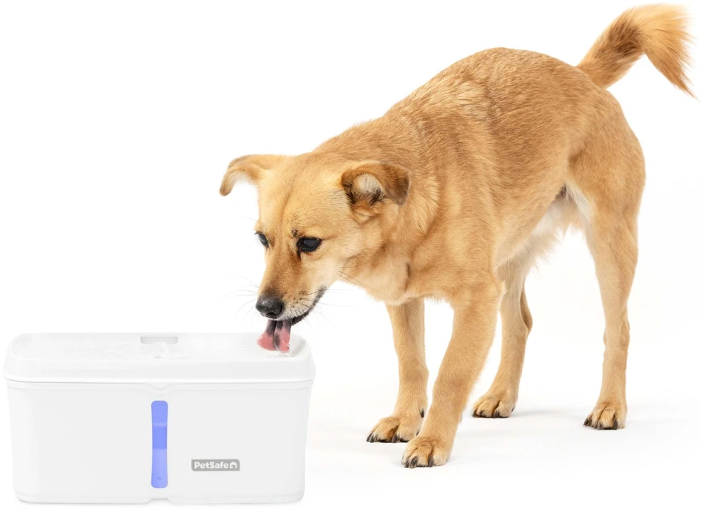 PetSafe Viva naminių gyvūnėlių fontanėlis – didelės talpos, apšviestas vandens lygio indikatorius, modernus dizainas