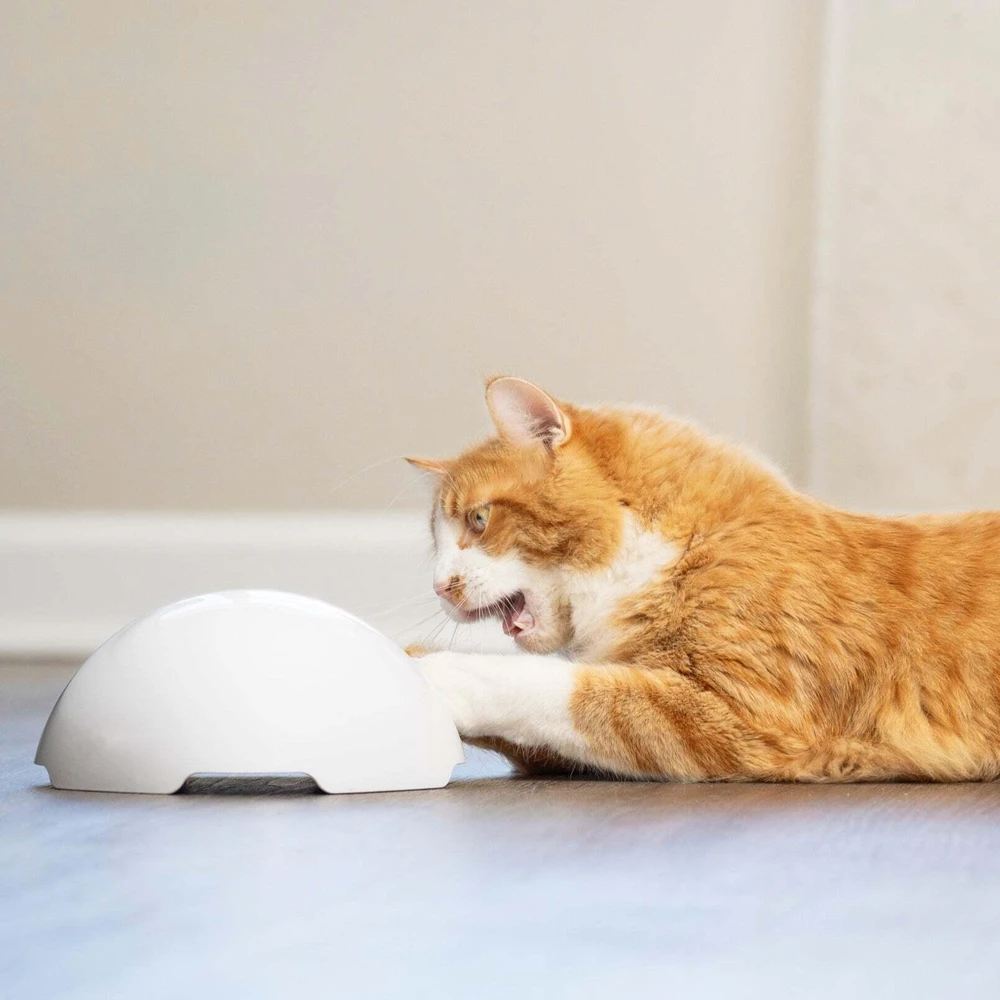 Petsafe FroliCat Fox Den žaislas katėms erzintojas