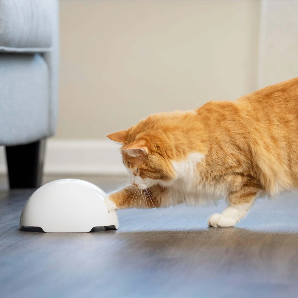 Petsafe FroliCat Fox Den žaislas katėms erzintojas