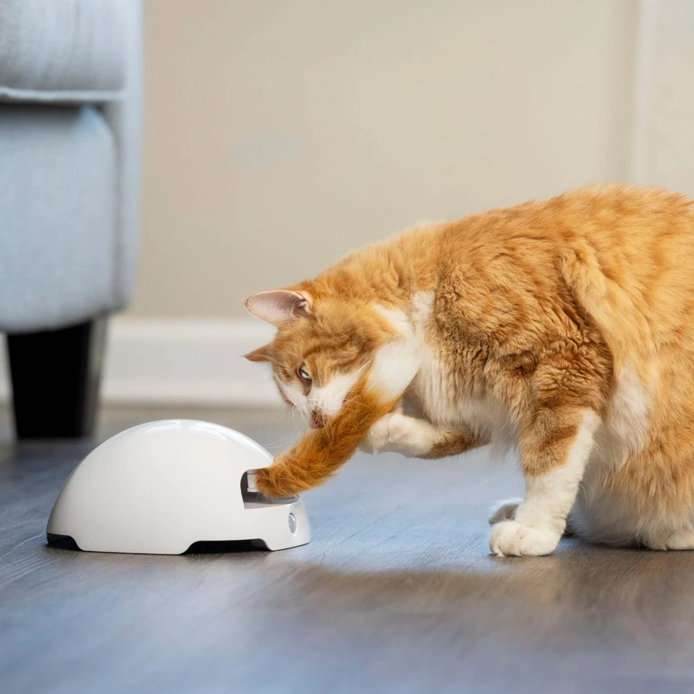 Petsafe FroliCat Fox Den žaislas katėms erzintojas
