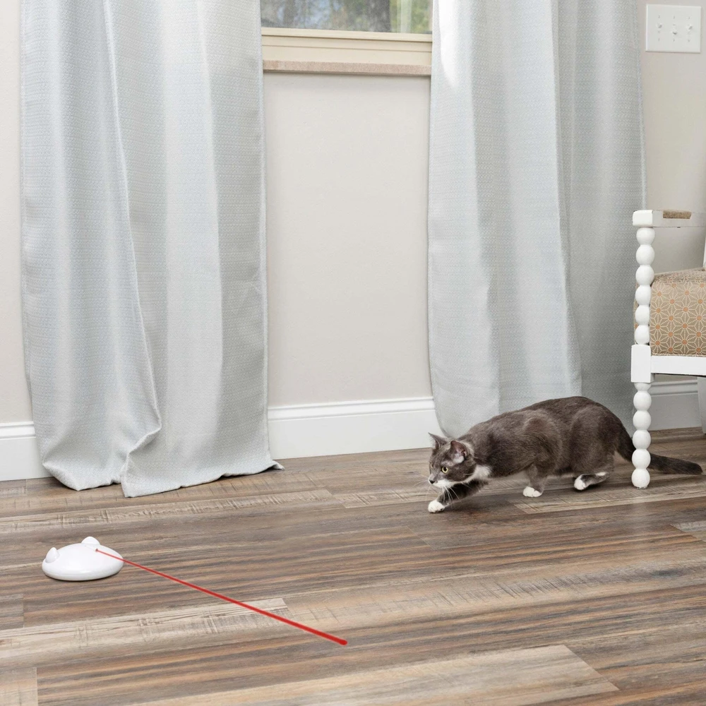 PetSafe FroliCat ZIP - automatinis lazerinis žaislas katėms