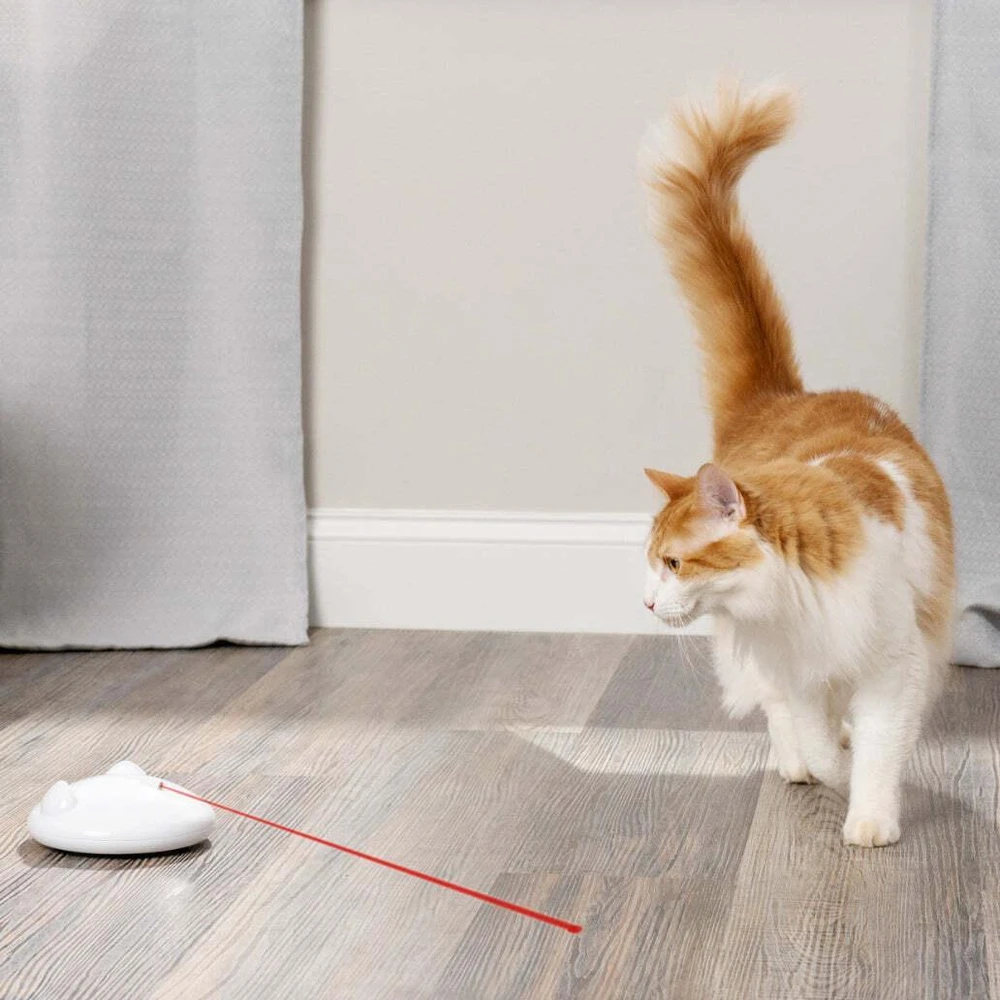 PetSafe FroliCat ZIP - automatinis lazerinis žaislas katėms