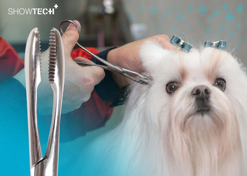Show Tech Ausų Forsepsai 14cm – Tiesus nerūdijančio plieno įrankis su neslystančia rankena