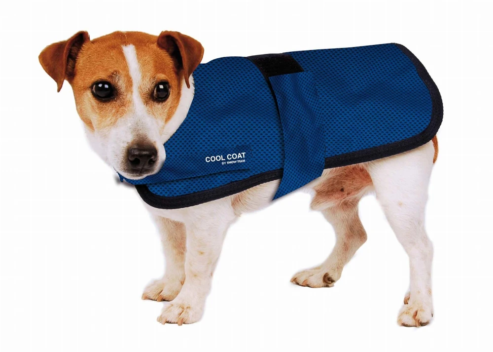Show Tech Cool Coat Vėsinanti liemenė – lengvas kvėpuojantis dizainas, 70 cm dydis