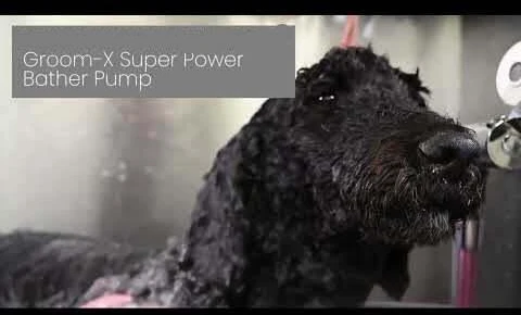 Show Tech Groom-X Super Power Bather Pump – Aukšto slėgio maudymo rinkinys su patvariu varikliu ir žarna Groom-X