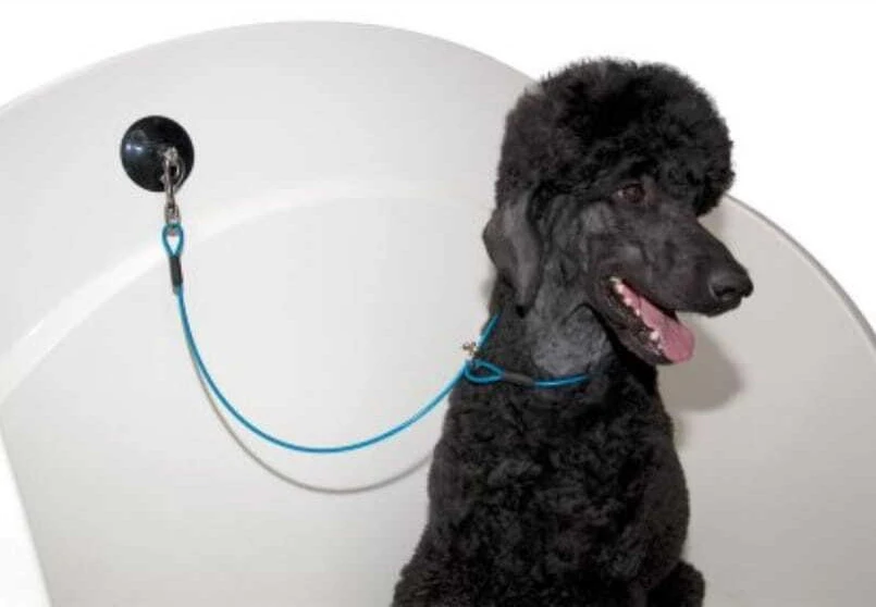 Show Tech Groom-X vonelių rankena – Vieno siurbtuko, saugus sukibimas, ergonomiškas dizainas