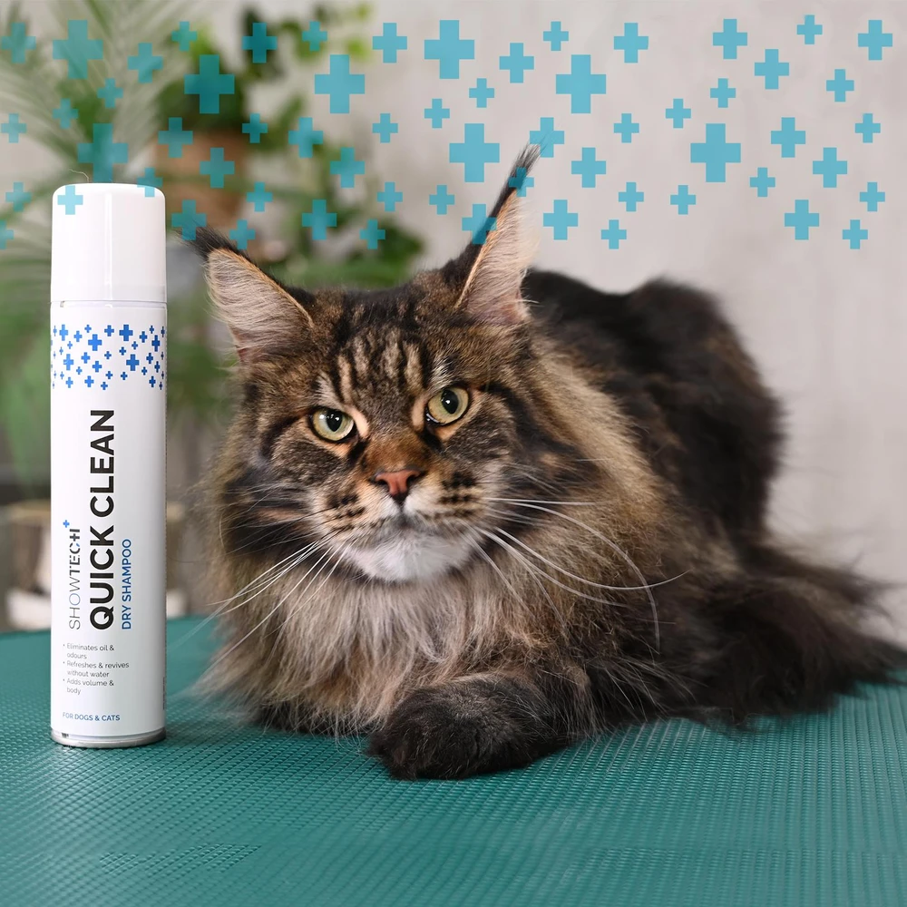 Show Tech+ Sausas Šampūnas Purškalas 200ml – Tekstūros Formulė, Greito Poveikio ir Neš Džiūvimo Efekto