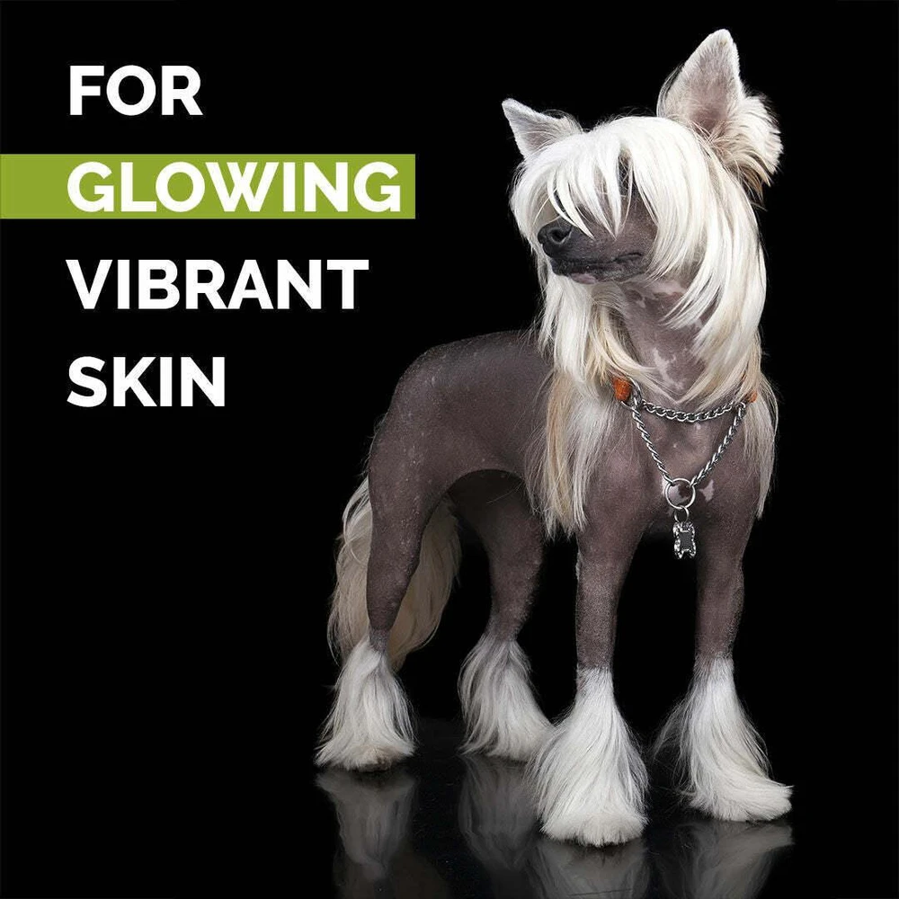 Show Tech+ Skinsational Cukraus Šveitiklis 200ml – Giliai valanti pilingo formulė, švelni odai