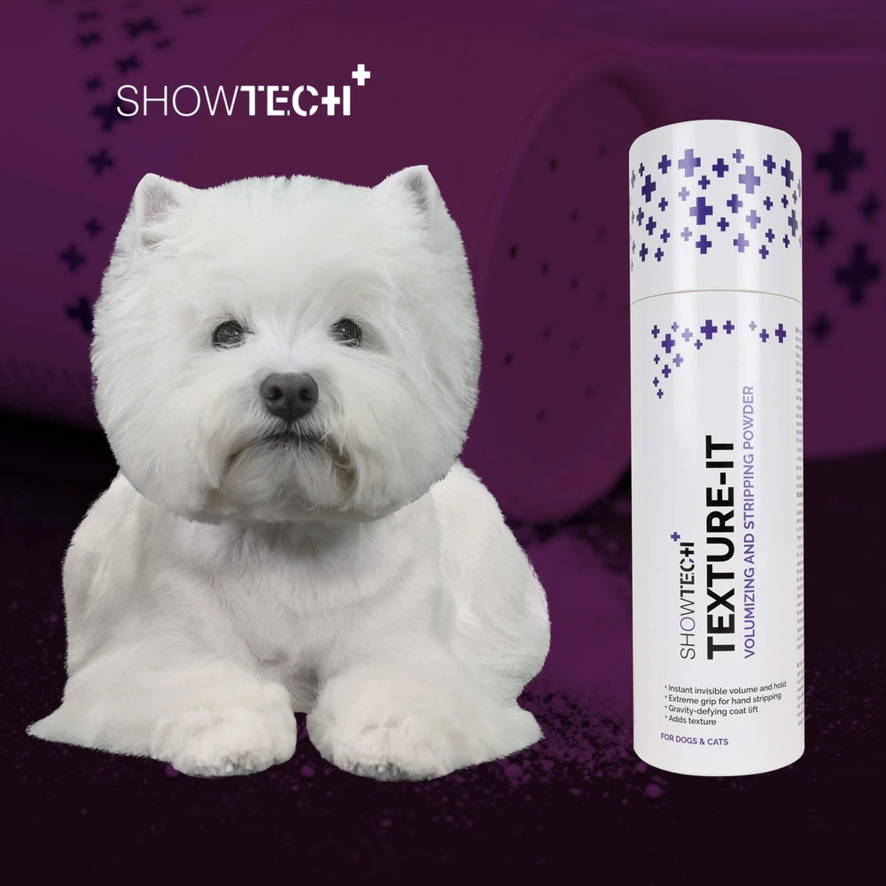 Show Tech+ Texture-IT tekstūros suteikianti pudra, bespalvė, 20 g