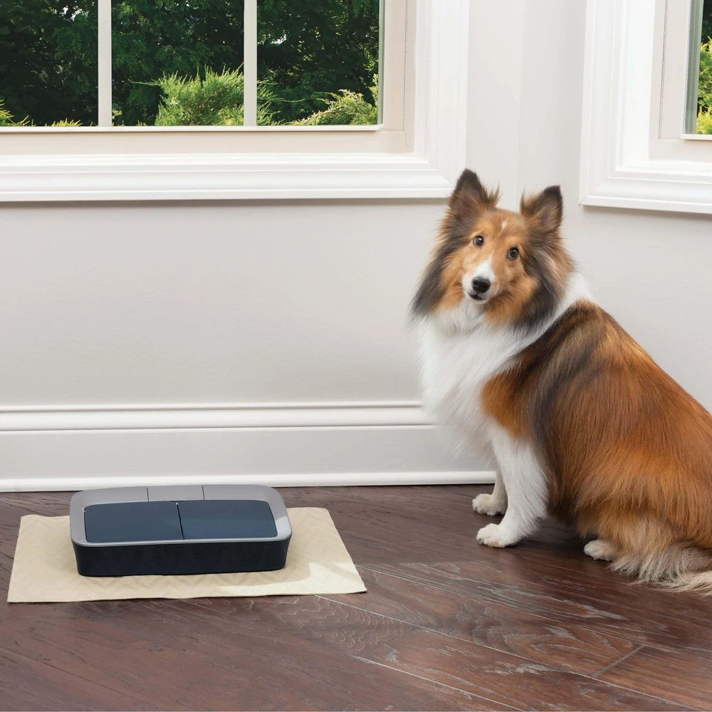PetSafe Skaitmeninis dviejų patiekalų naminių gyvūnėlių tiektuvas