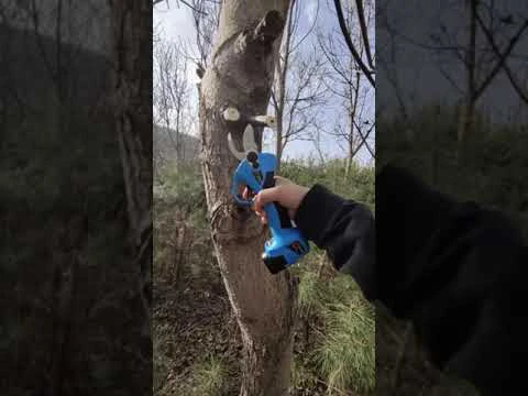 Akumuliatorinės sodo žirklės