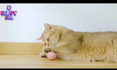 Interaktyvus kamuoliukas katėms Smart Cat Ball, rožinis Halpix