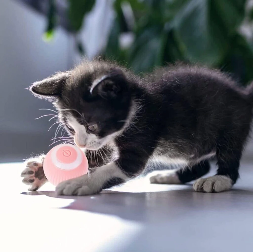 Interaktyvus kamuoliukas katėms Smart Cat Ball, rožinis Halpix