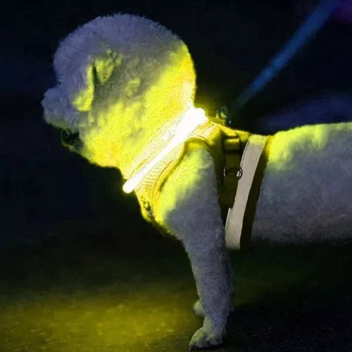 Šviečiantis LED antkaklis šunims ir katėms