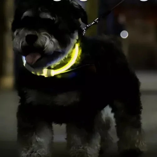Šviečiantis LED antkaklis šunims ir katėms