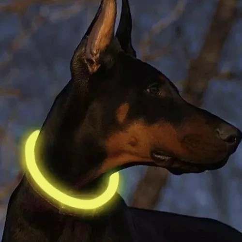Šviečiantis LED antkaklis šunims ir katėms