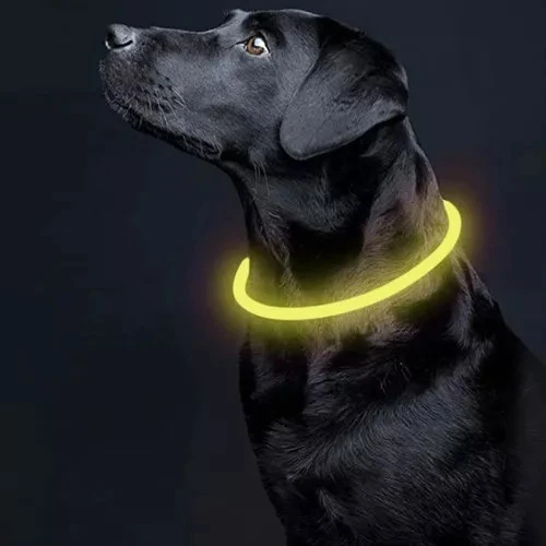 Šviečiantis LED antkaklis šunims ir katėms
