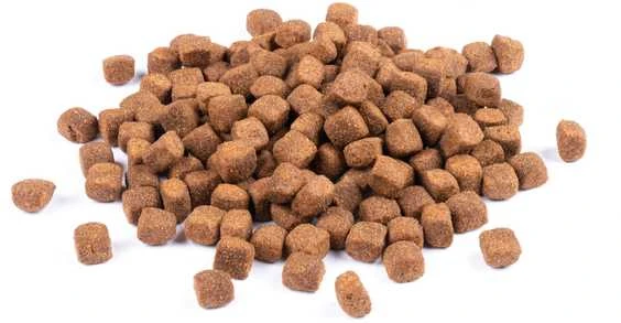 Carnis sausas maistas aktyviems šunims – 10 kg