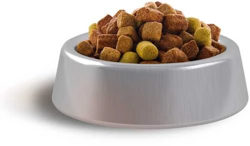 Carnis sausas maistas senjorams šunims – 10 kg