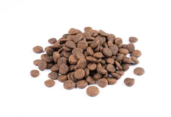 StarVita granulės suaugusiems šunims (kalakutienos), 12 kg