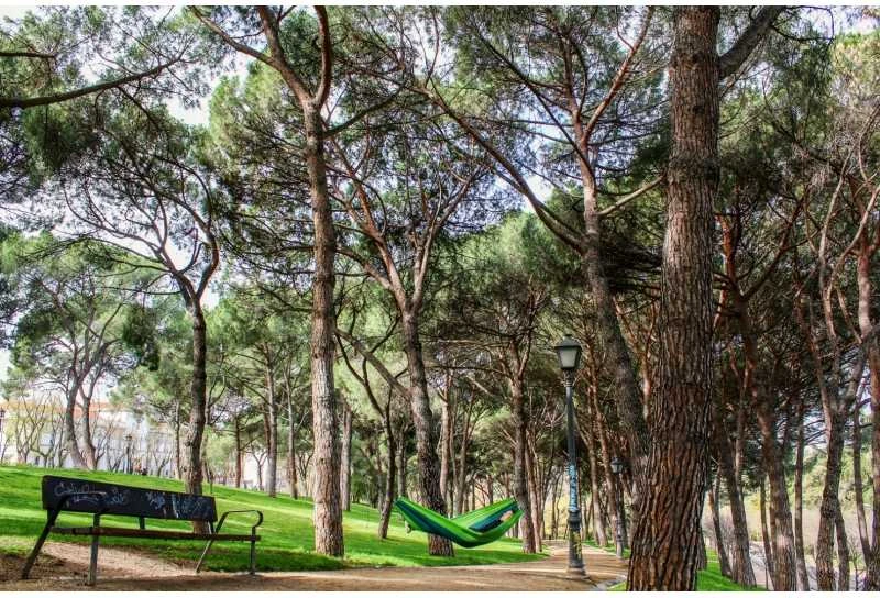Amazonas Silk Traveller forest (žalias-žalias) Travel Hammock, 220x140 cm, 150 kg