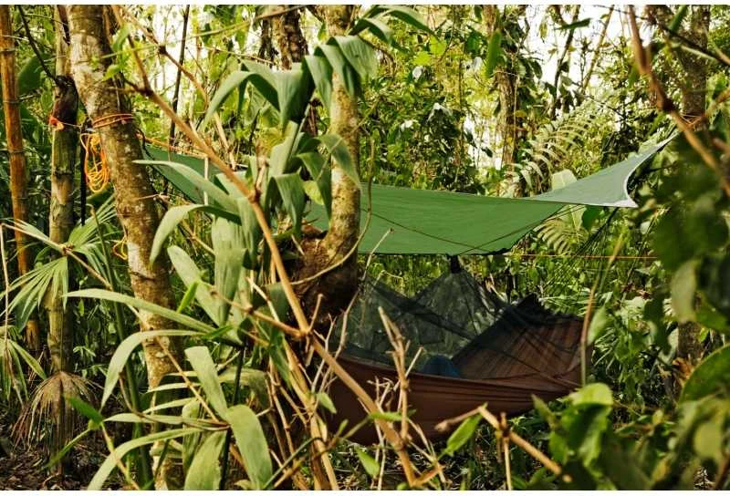 Amazonas Jungle Tent PRO Hamakas Priedas, 340x280 cm