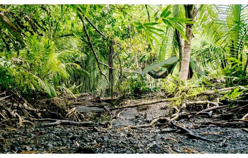 Amazonas Jungle Tent PRO Hamakas Priedas, 340x280 cm