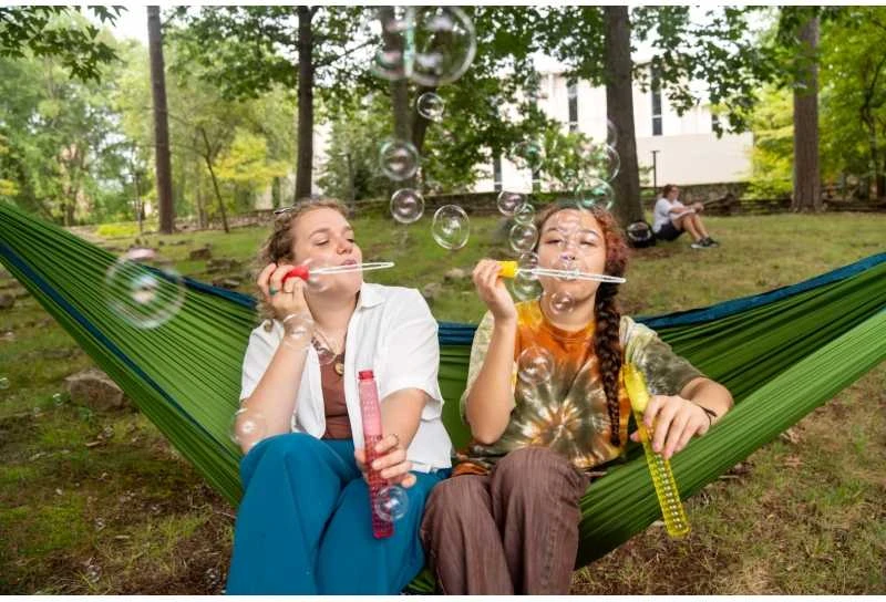 ENO DOUBLENEST, Cedar / Marine