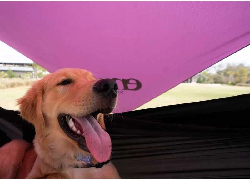 ENO SUNFLY Shade, Plum / Berry