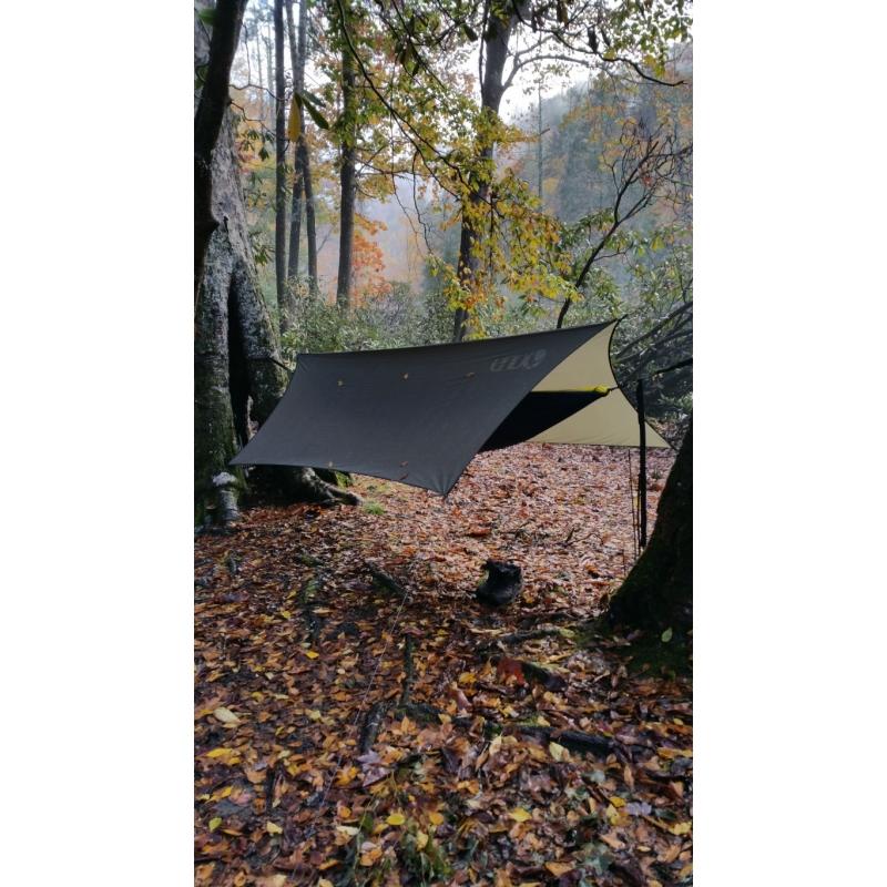 Eno tentas PROFLY, anglis (640 g)
