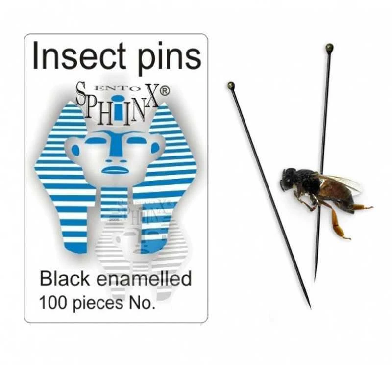 Entomologiniai smeigtukai vabzdžiams (Emaliuoti) (Čekija) (6A)