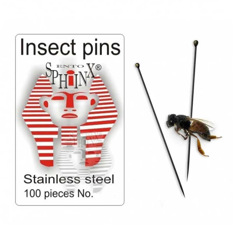 Entomologiniai smeigtukai vabzdžiams (Nerūdijančio plieno) (Čekija) (1)