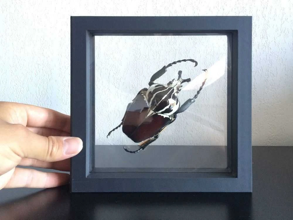 Rėmelis Magic Frame (pastorintas) (50 x 50 mm)