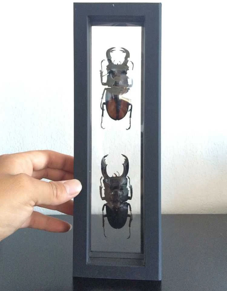 Rėmelis Magic Frame (pastorintas) (70 x 70 mm.)