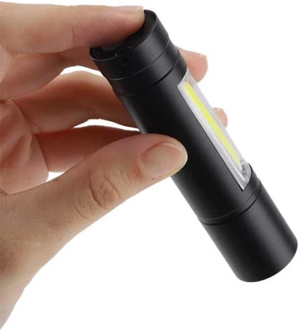 LED prožektorius, 2 LED
