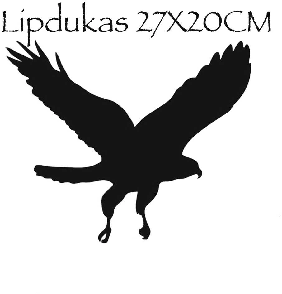 Lipdukas Apsaugai Nuo Paukščių Atsitrenkimo Į Langus