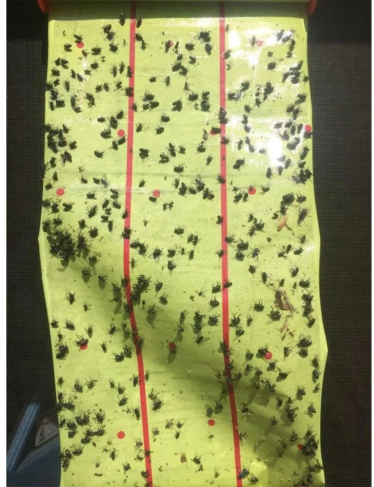 Lipni vabzdžių gaudyklė (ritė) 25 cm x 4 m