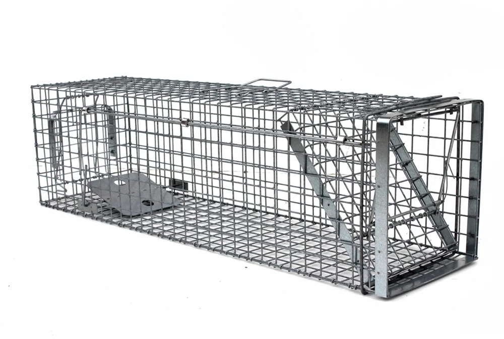 Narvas/gaudyklė spąstai 102x34x34 HARDY