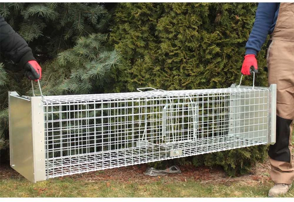 Narvas-gaudyklė spąstai 150x34x34 cm STRONG