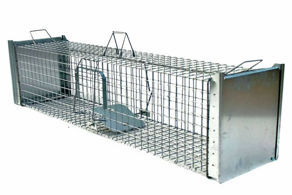 Narvas-gaudyklė spąstai 150x34x34 cm STRONG